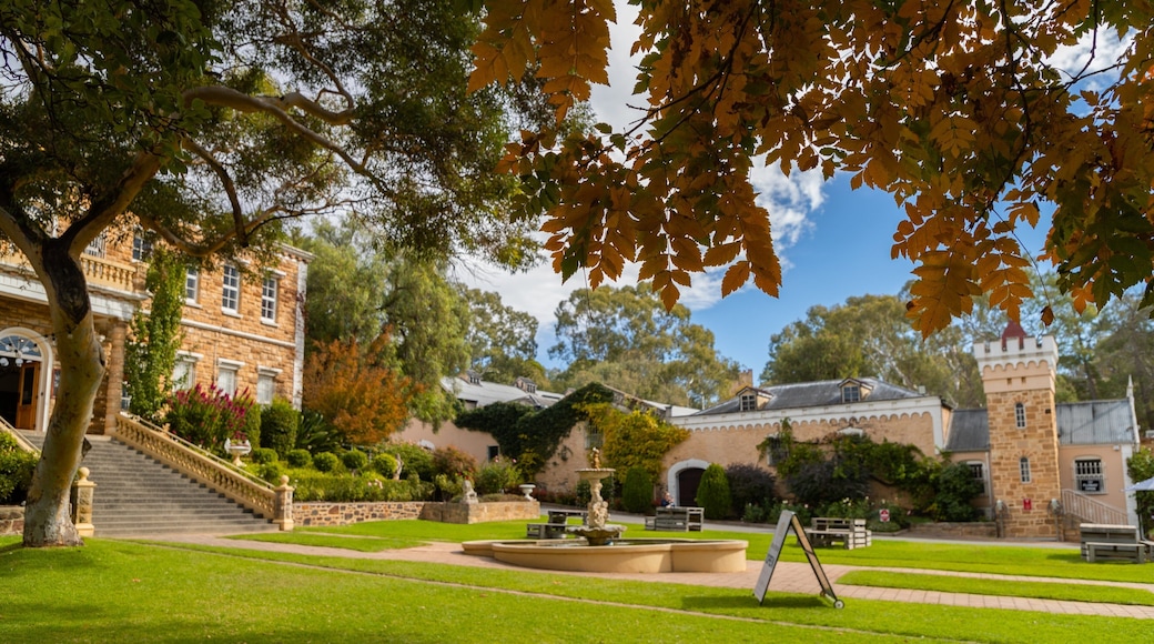 Chateau Yaldara showing a fountain and a garden
