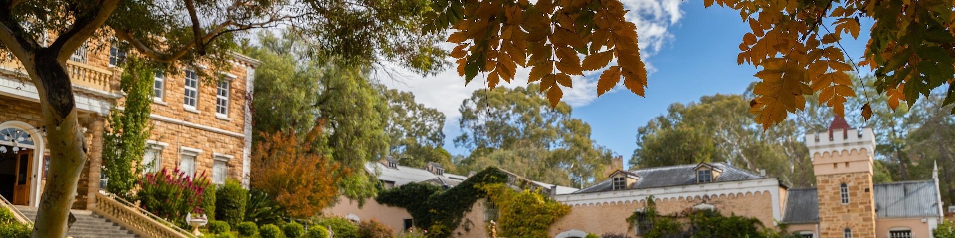 Chateau Yaldara showing a fountain and a garden