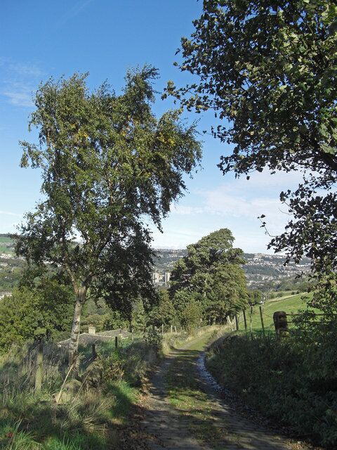 Un sendero rural rodeado de árboles y una vista distante de un pueblo.