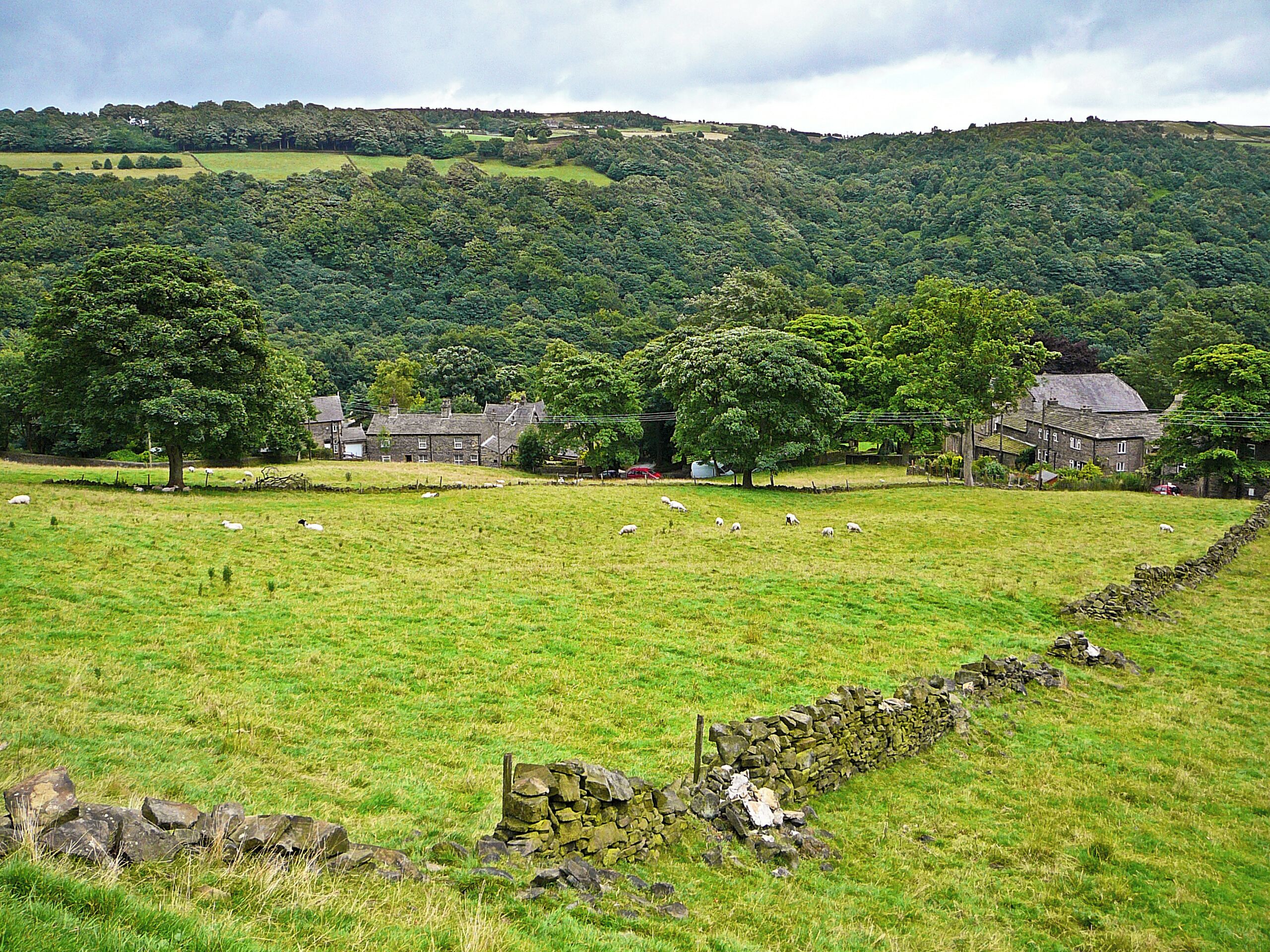 near Mill Bank