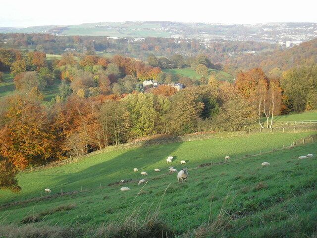 A green field with grazing sheep and autumn-colored trees in the background.