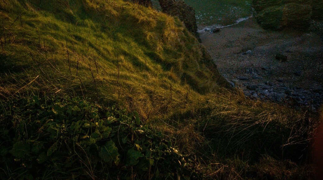 Afternoon light over Dublin Bay - quick phone shot from Tower Bay, Portrane