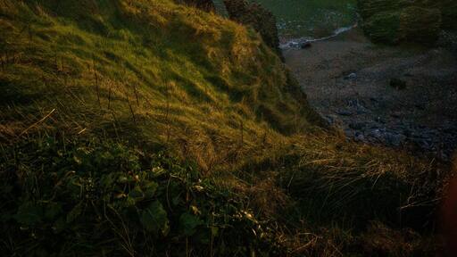Afternoon light over Dublin Bay - quick phone shot from Tower Bay, Portrane