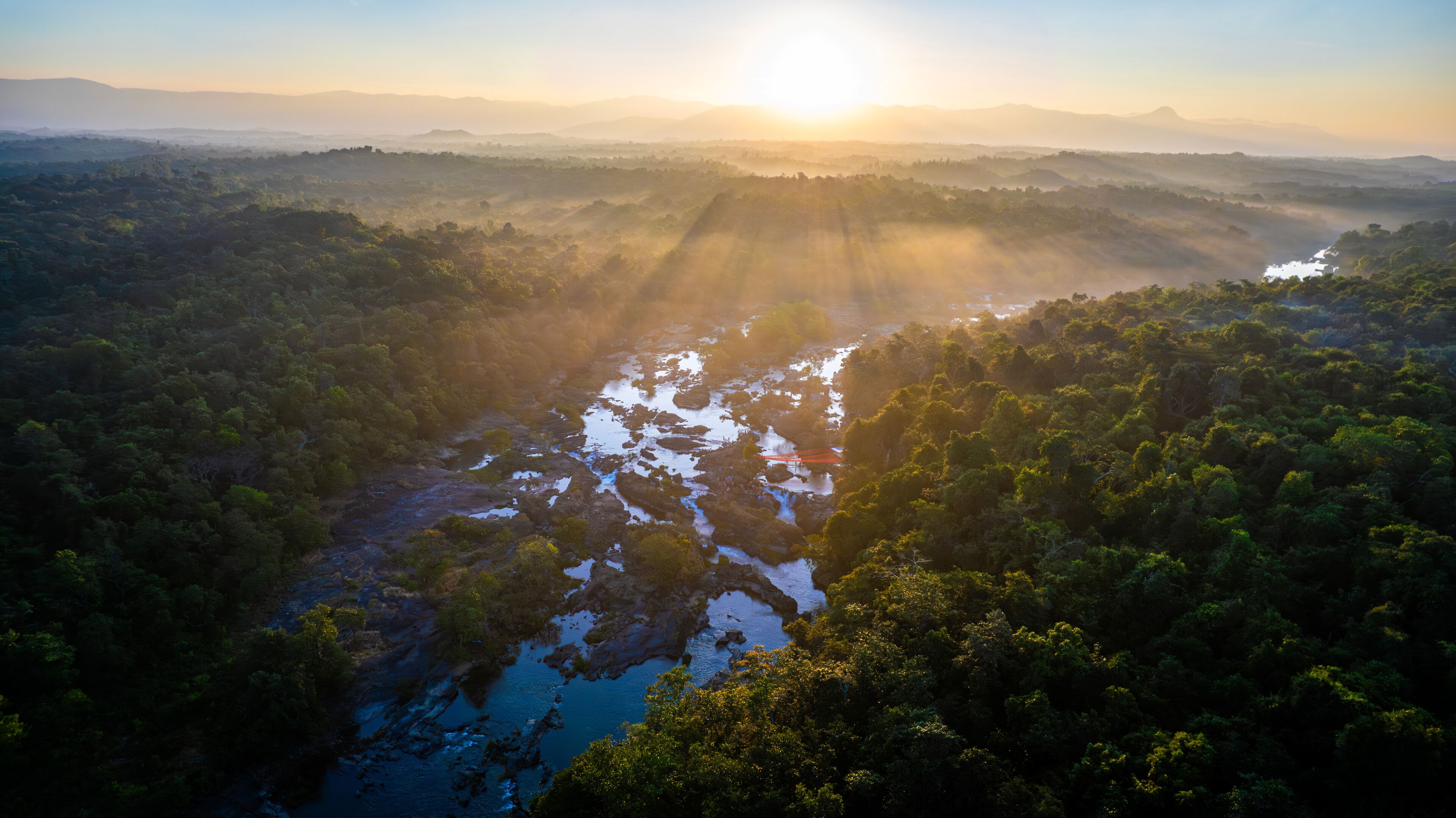 A river winding through a dense forest with sunlight streaming through the trees.