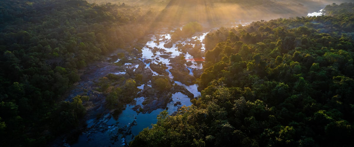 A river winding through a dense forest with sunlight streaming through the trees.