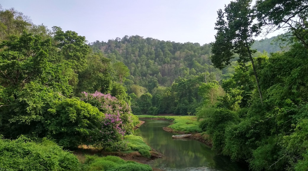 Beautiful water body with lush forests with rich wildlife at Yellapura, Karnataka, India