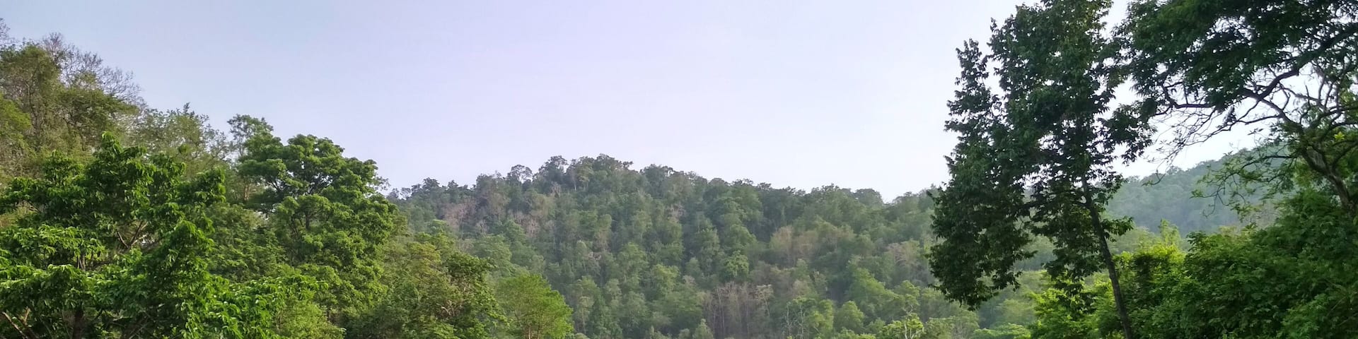 Beautiful water body with lush forests with rich wildlife at Yellapura, Karnataka, India