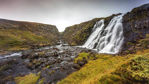 埃雅及米卡拉霍薛萊普