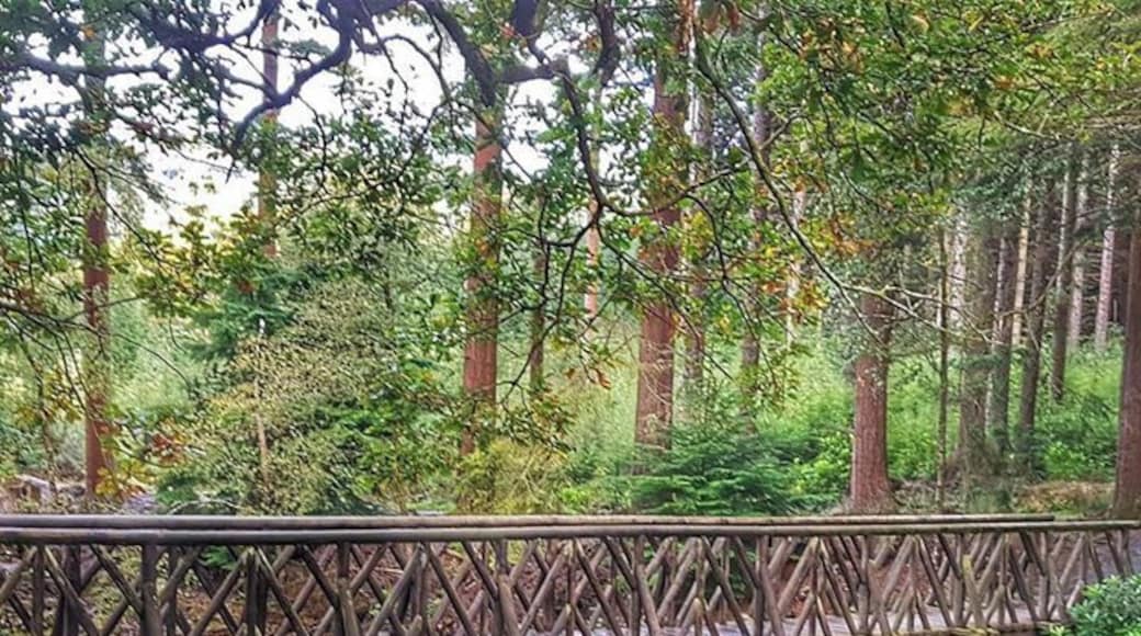 Beautiful Ireland has to much serenity and peacefulness here. I can get lost here and again find myself.
It's like coming home.