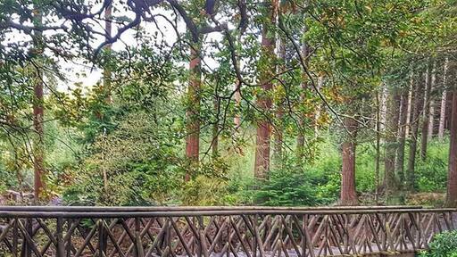 Beautiful Ireland has to much serenity and peacefulness here. I can get lost here and again find myself.
It's like coming home.