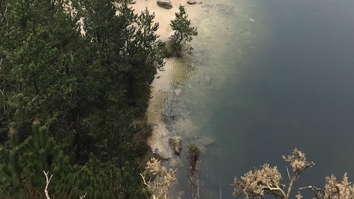 Cool lil hidden spot in Co. Wexford, Ireland