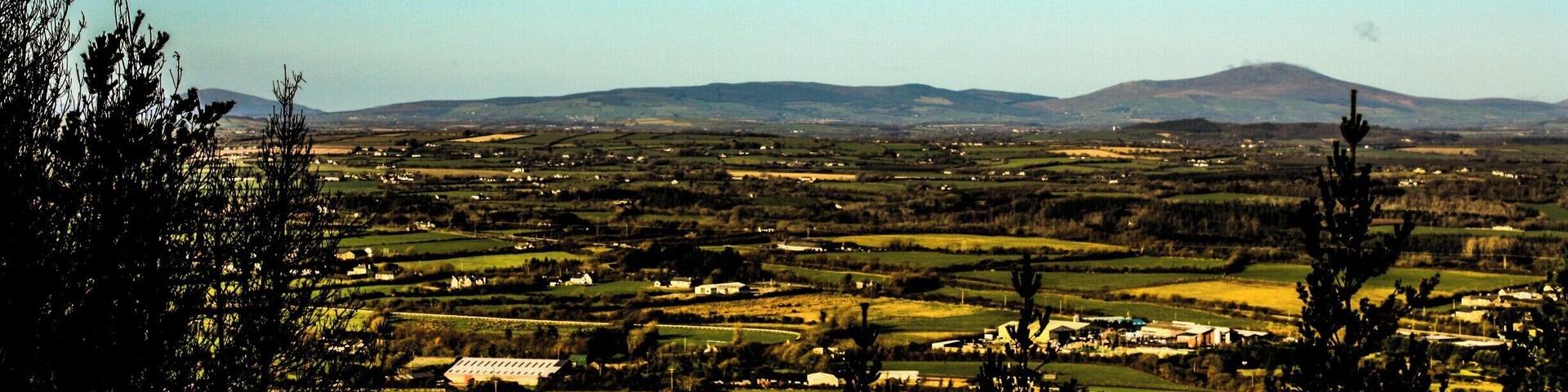 A spot near a lake off to the right at the end of Matt's Lane, Co Wexford. The view is fantastic.