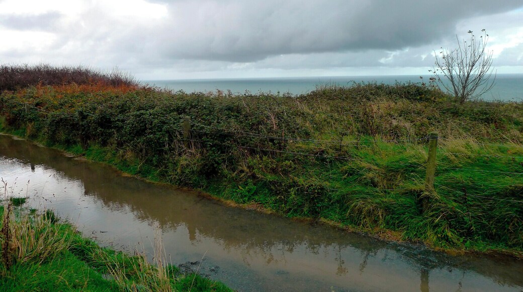 We took the Dart from Dublin to Greystones, a coastal town south of the city, and walked to Brey. The Cliff Walk is about 7 kilometres long, follows the coastline and boasts some of the most amazing views of the East Coast. It was awesome! It was also wet and wild and one of our favorite adventures in Dublin.