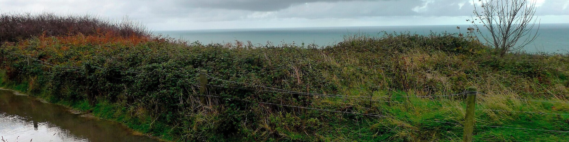 We took the Dart from Dublin to Greystones, a coastal town south of the city, and walked to Brey. The Cliff Walk is about 7 kilometres long, follows the coastline and boasts some of the most amazing views of the East Coast. It was awesome! It was also wet and wild and one of our favorite adventures in Dublin.