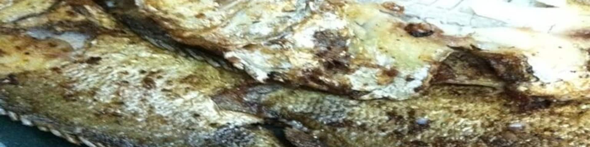 Fried Fish