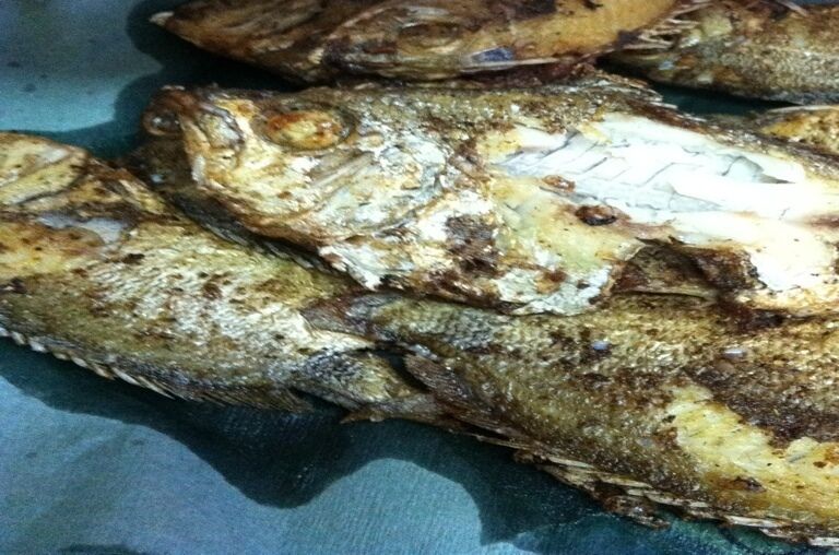Grilled fish with charred skin.