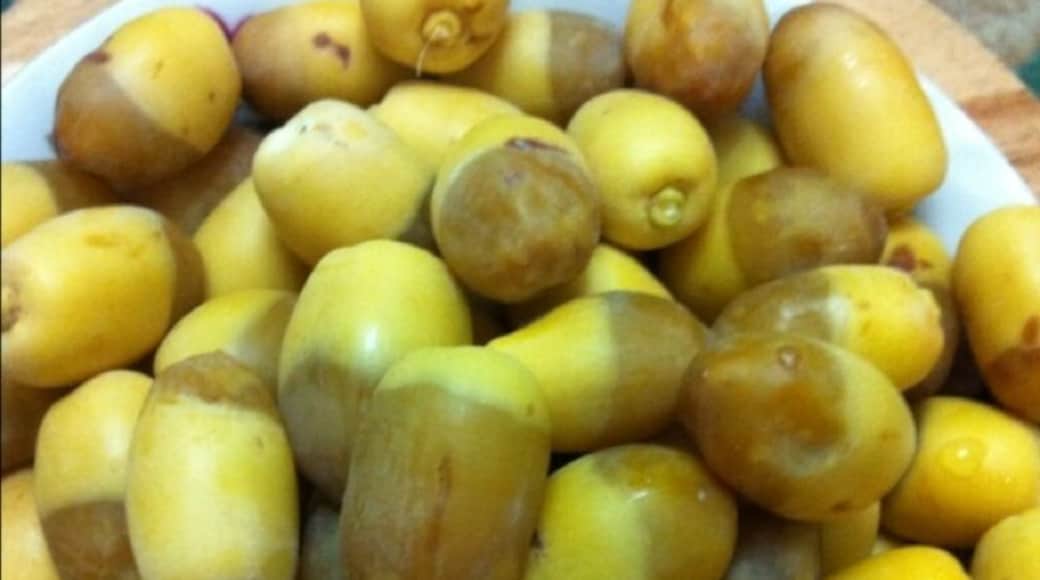 رطب نوعه خلاص من نخيل المنزل
