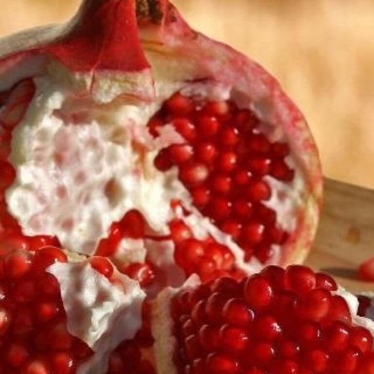 Pomegranate fruit