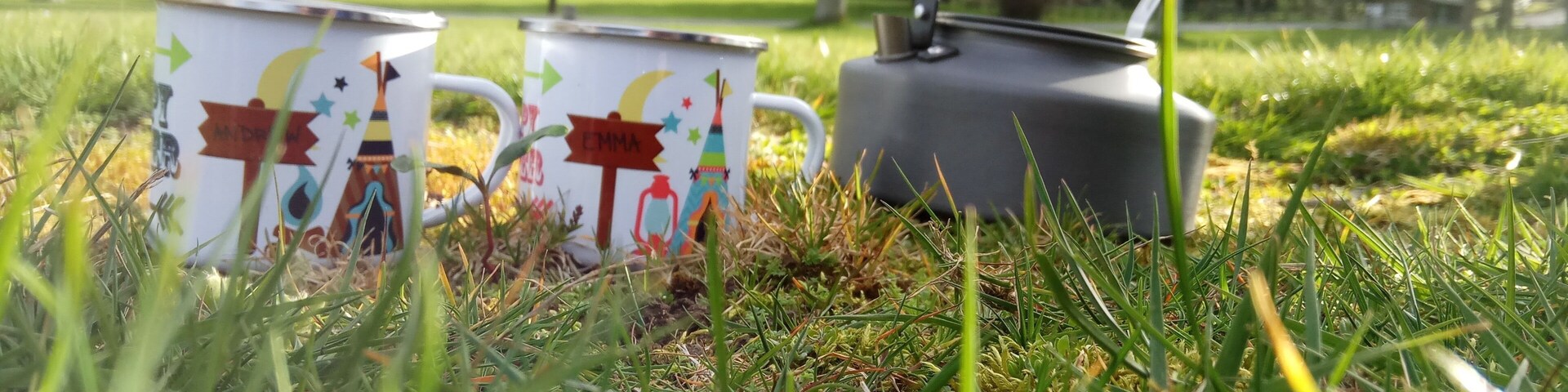 Tollymore Forest Park