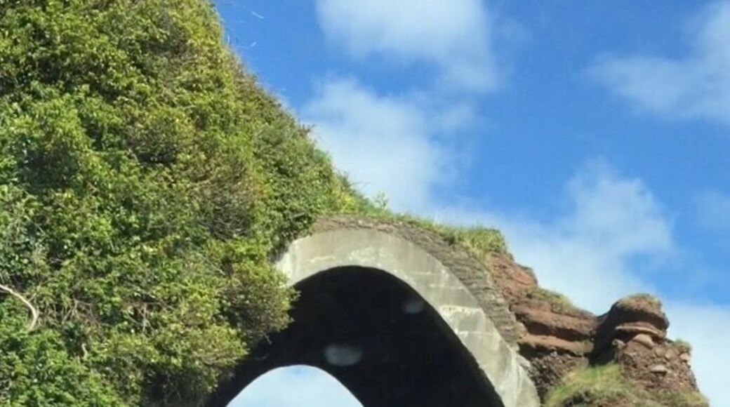 Is it a tunnel or a bridge?
Driving the coast Road. This arch can be found on the A2 Causeway Road, Co Antrim between Waterfoot and Cushendall.
#northernireland #antrim #redbay #A2 #waterfoot #cushendall
