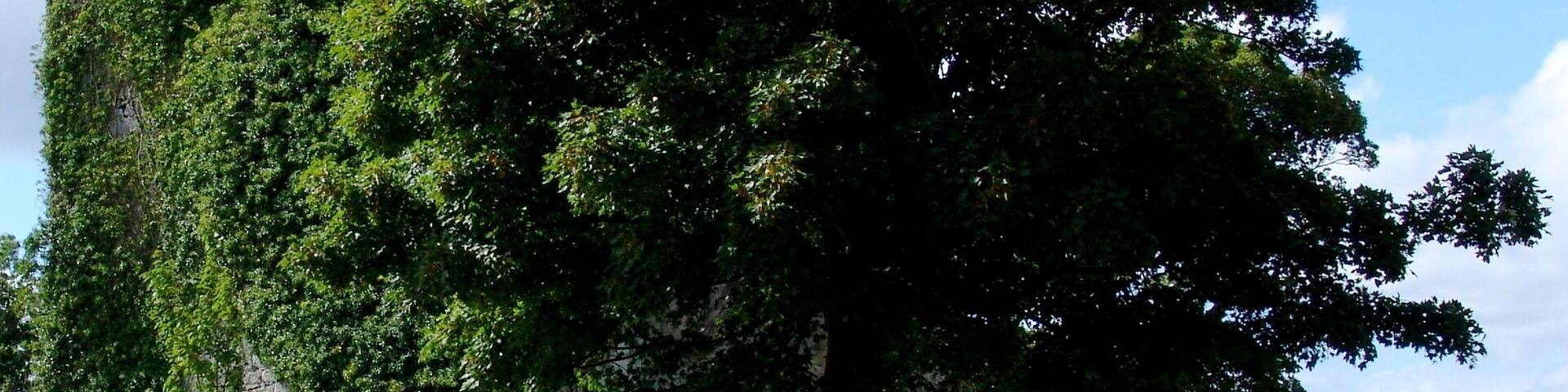 CloonaCastle, Ballinrobe, Co. Mayo Ireland