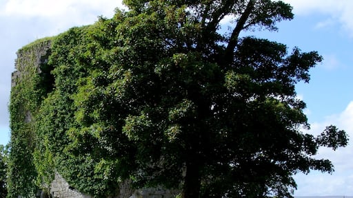 CloonaCastle, Ballinrobe, Co. Mayo Ireland