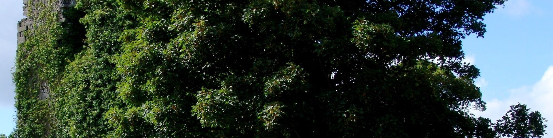 CloonaCastle, Ballinrobe, Co. Mayo Ireland