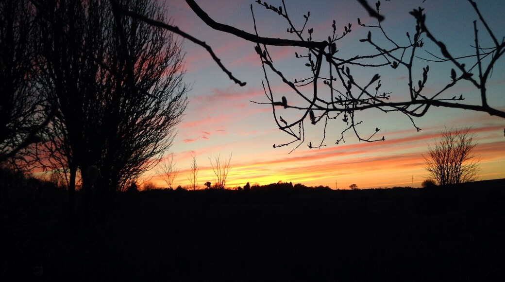 This was taken in my back garden. Such a beautiful sunset 🌅