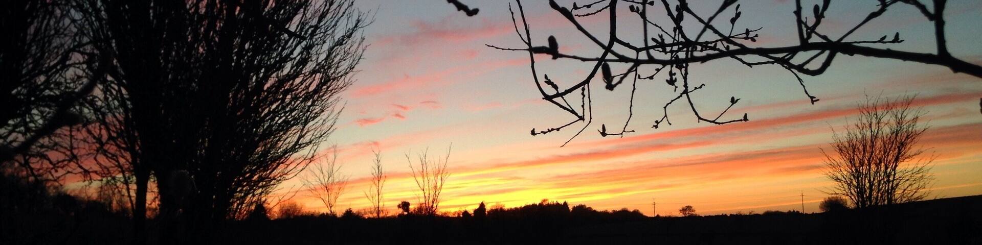 This was taken in my back garden. Such a beautiful sunset 🌅