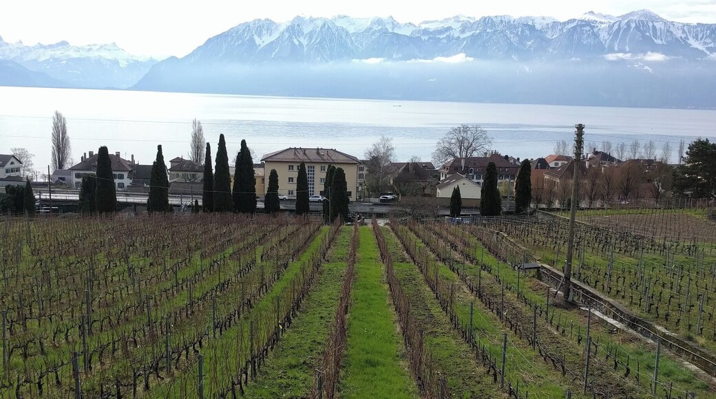 Every little village along Lake Geneva is a #WinterWonders. This region has very steep vineyards which blend in nicely with the Alps in the background. Take a roadtrip along the lake from Geneva to Montreux, you won't regret it.
#Merch #Switzerland #LifeAtExpedia