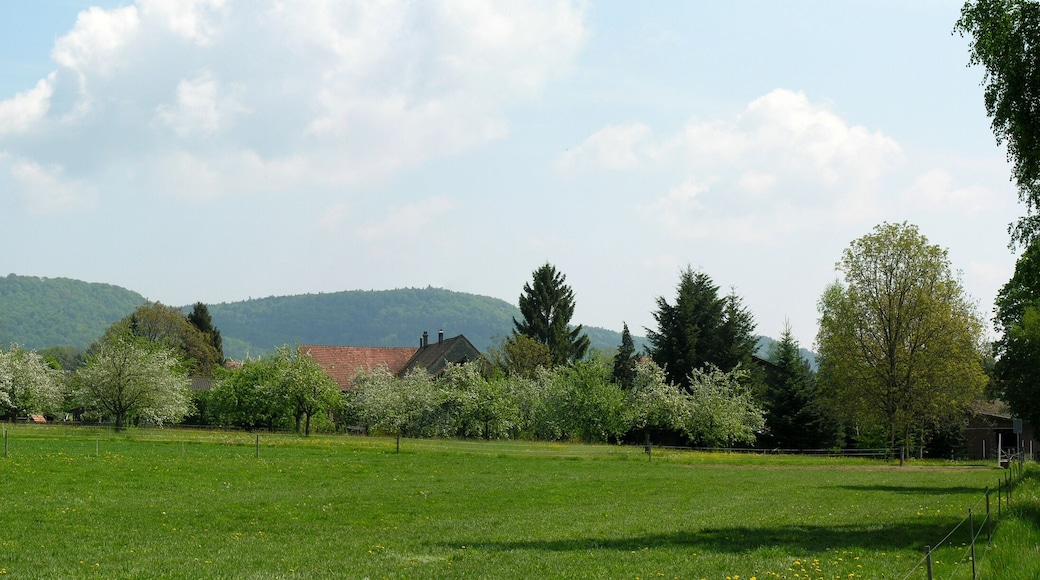 Switzerland, Thurgau, Schlattingen