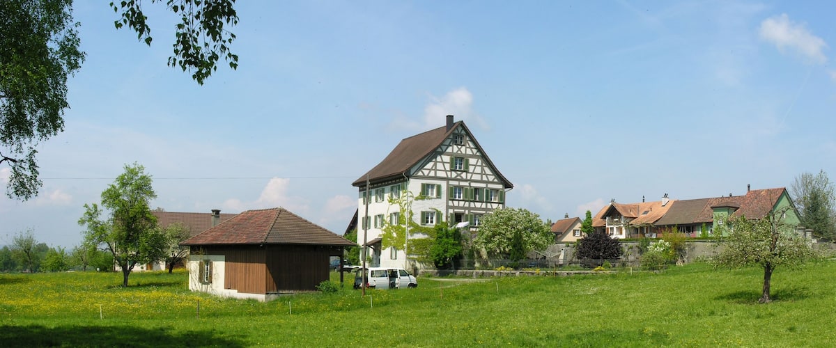 A traditional half-timbered house with a sloped roof, surrounded by a lush green field and smaller buildings.