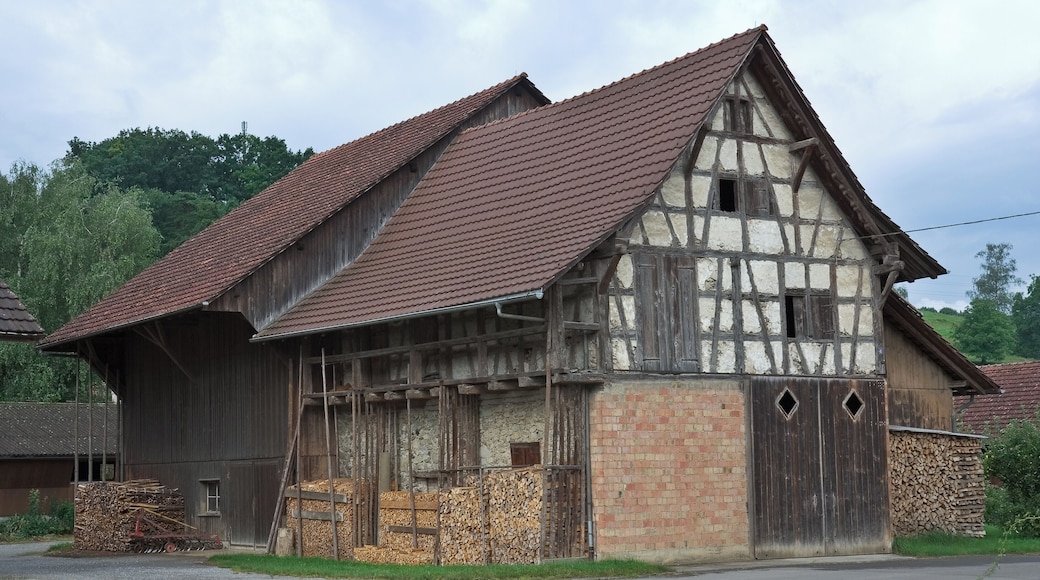 Eine zerfallende Scheune in Schlattingen