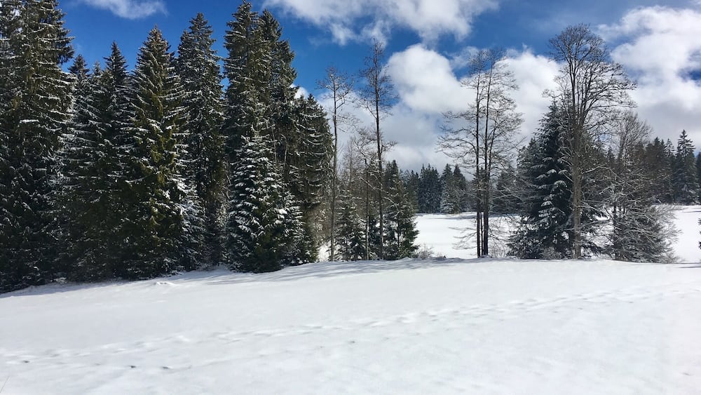 On the road in Switzerland, full of snow.
