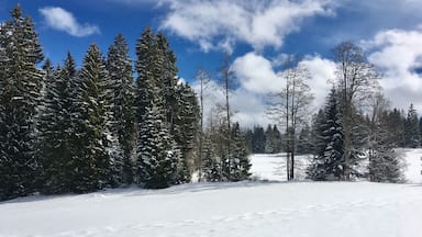 On the road in Switzerland, full of snow.