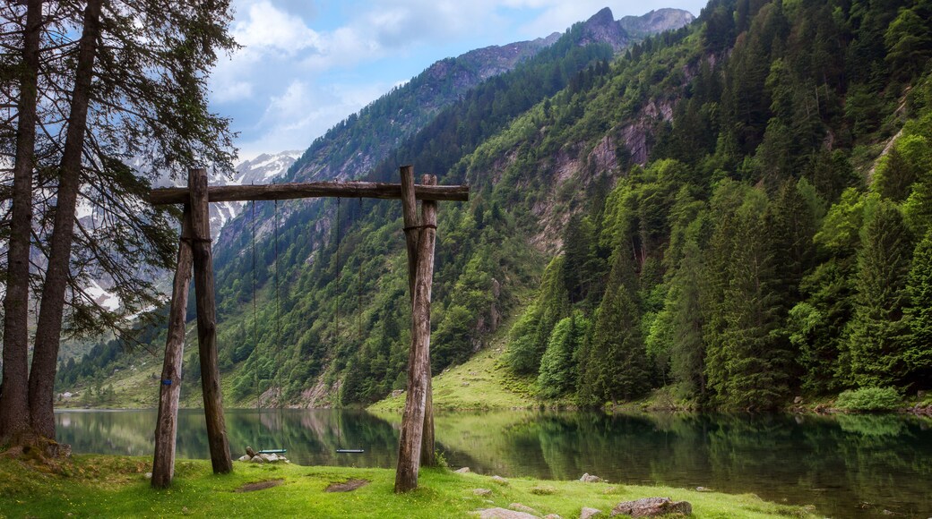 A wooden swing in a forested area with a lake and mountains in the background.