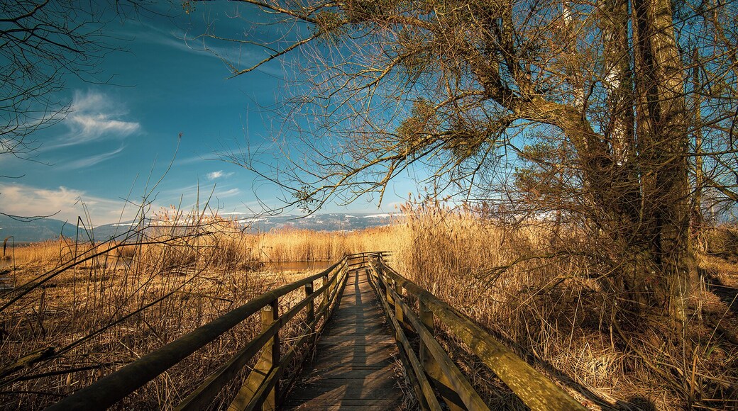 Always beautiful regardless of season