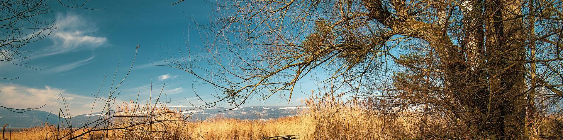 Always beautiful regardless of season