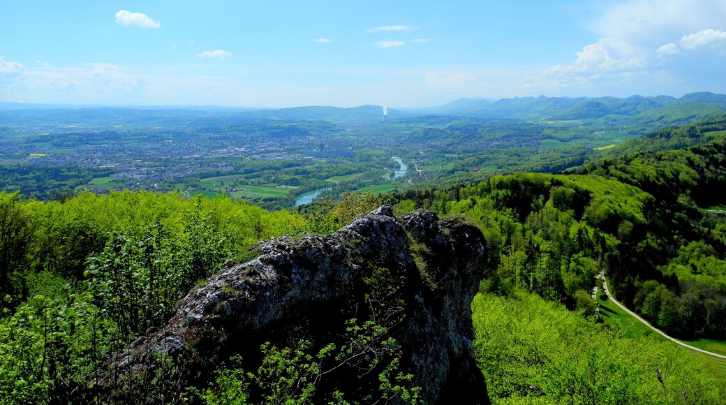 Gislifluh im FrĂŒhsommer