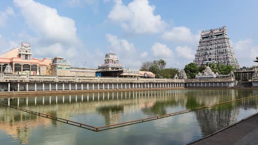 View of Gopuram of Nataraja Temple and Shivgangai Teertham water tank, Chidambaram, Tamilnadu, India