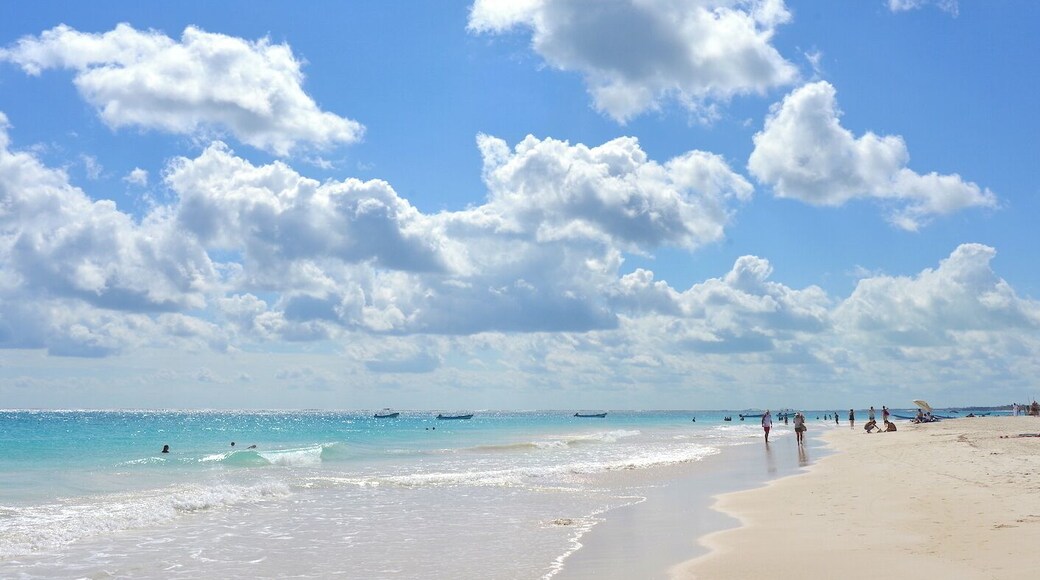 Tulum beaches are streched for about 10 kilometers. If you want to explore several of them, do what I did - rent a bicycle and just explore and choose the beach you like. Bikes are actually more efficient than cars in Tulum, as there can be traffic jams there. Just don't forget about bike lights as there is not much lighting on the road that goes along the beach. #BeachBound