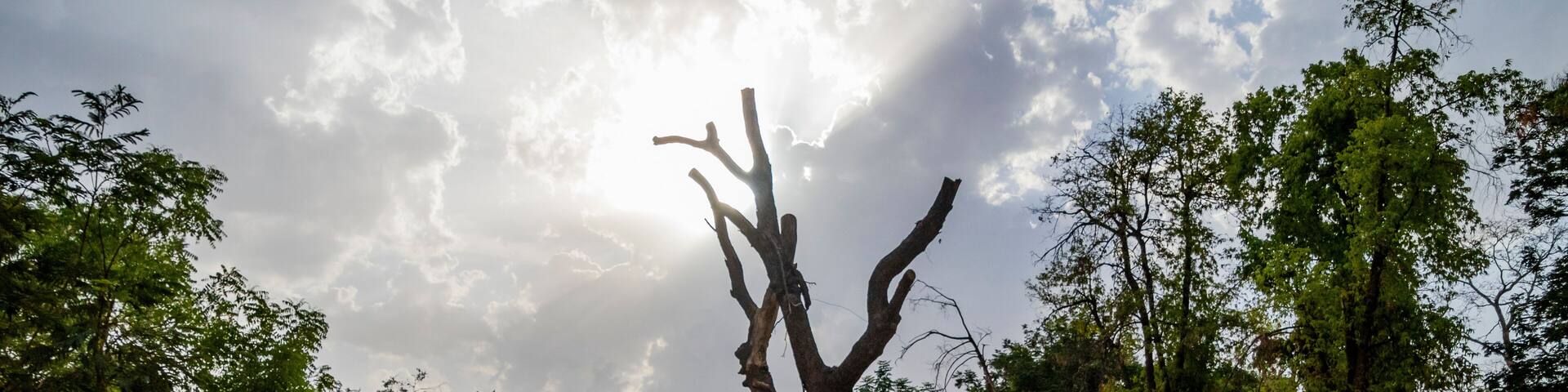 Various views of the Sabarmati Ashram