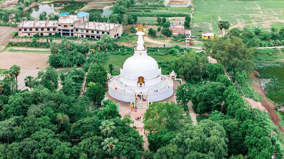 A white stupa surrounded by lush greenery and a few buildings in the background.