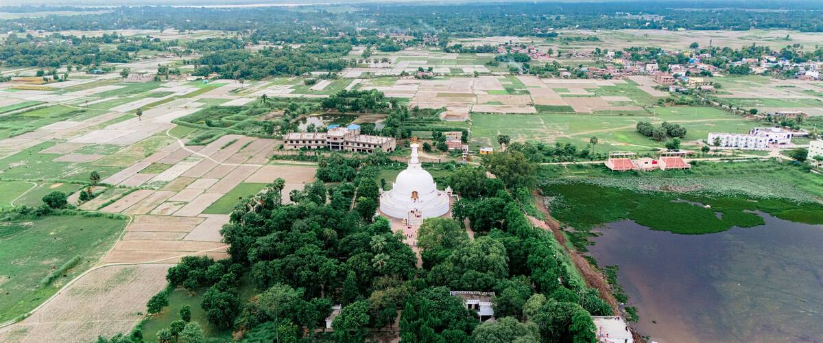 An aerial view of a white stupa surrounded by lush greenery and agricultural fields.
