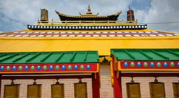 Views of the Gandantegchinlen Monastery in Ulaanbaatar, Mongolia.