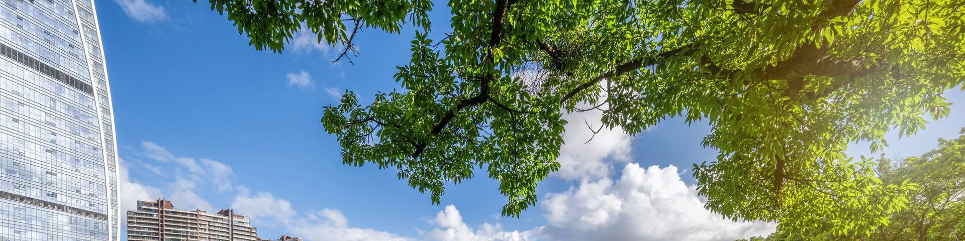 Green ecological scenery of Qijiang Park in Zhongshan City, Guangdong Province, China