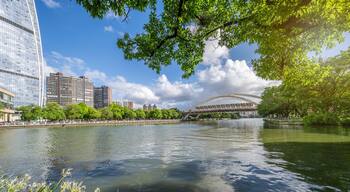 Green ecological scenery of Qijiang Park in Zhongshan City, Guangdong Province, China