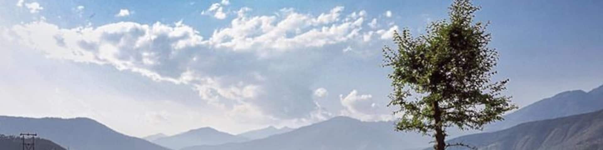 Lush green rice fields surrounded by Himalayas - gorgeous Kashmir! Shot near Chandigam in Kupwara, Lolab valley, #Kashmir #landscape