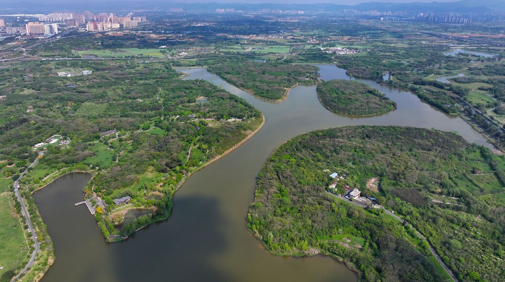 Luchtbeeld van een rivierdelta met diverse waterlopen, omringd door weelderige begroeiing en stedelijke bebouwing op de achtergrond.