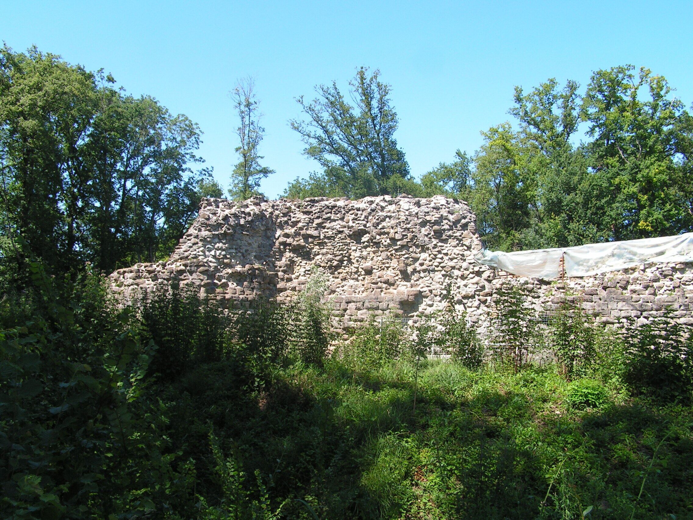 Ruines du Château de Rouelbeau